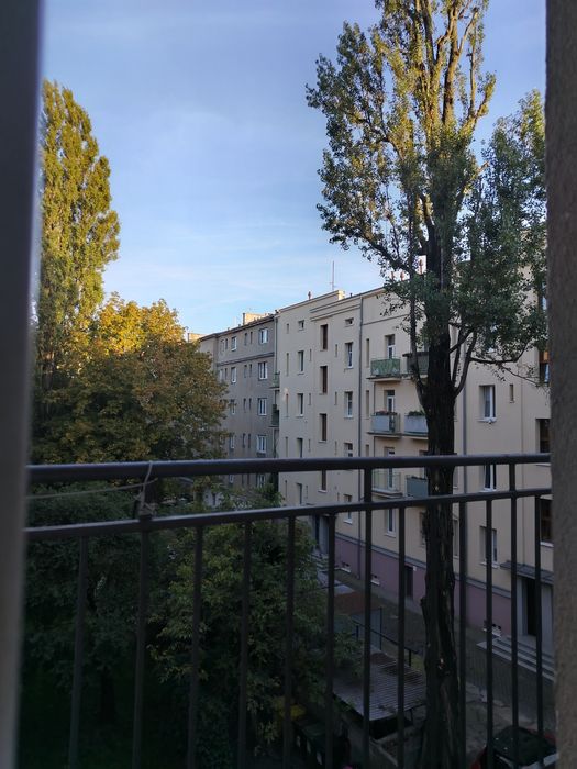 Miejsce w pokoju 2-osobowym dla dziewczyny – Jeżyce | zastępstwo
