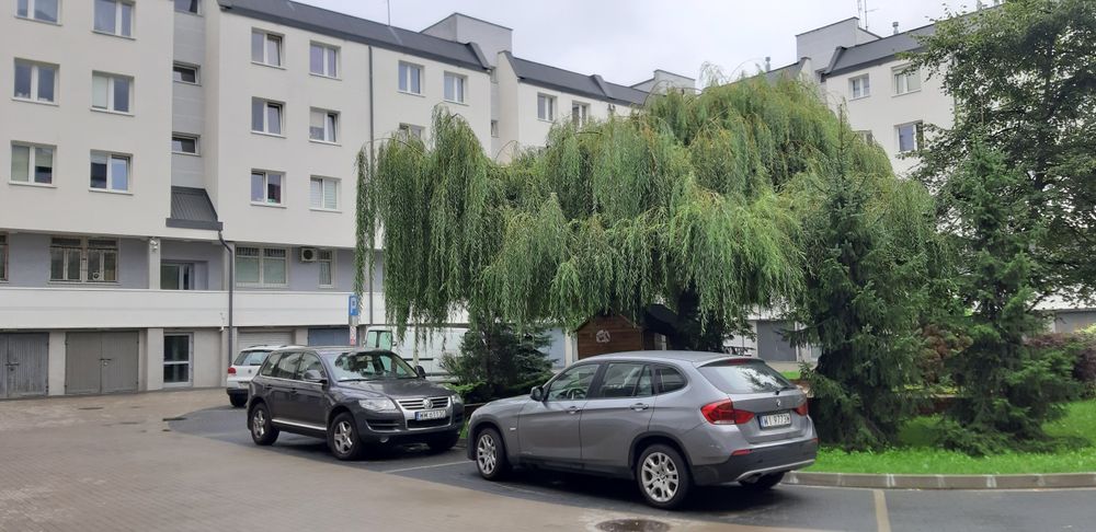 Zdjęcie 6