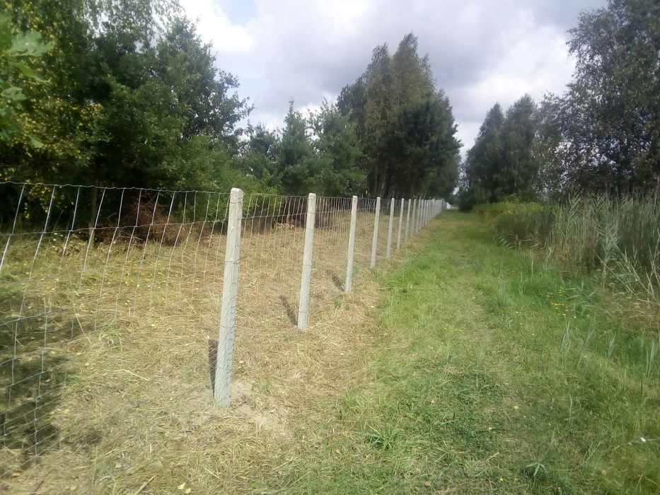 Ogrodzenia  z montażemod 35złmb