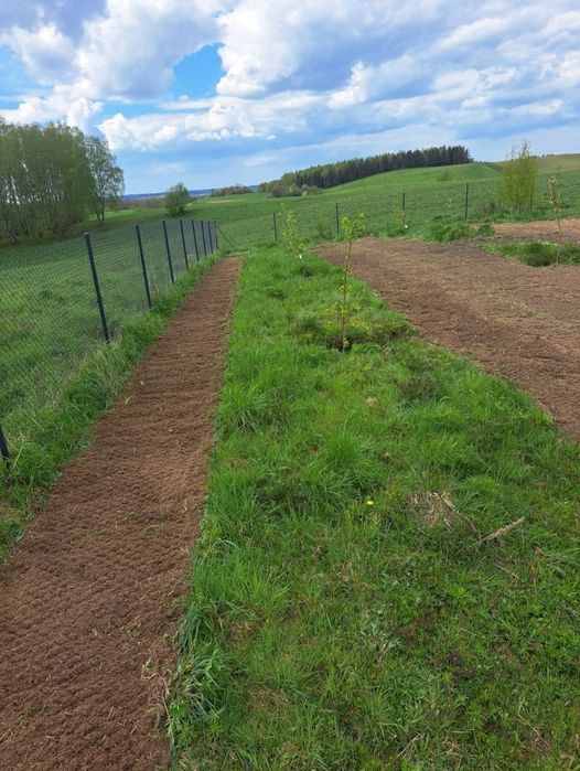 GLEBOGRYZARKA SEPARACJNA Przygotowanie terenu niwelacja wyrównywanie