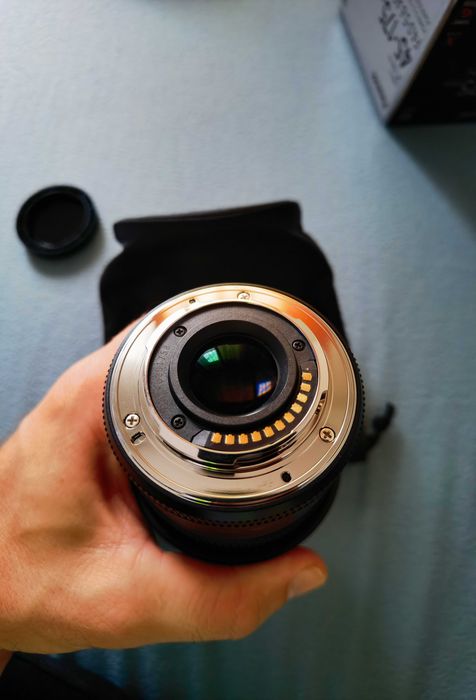 Panasonic Lumix G X Vario PZ 45-175mm f/4.0-5.6