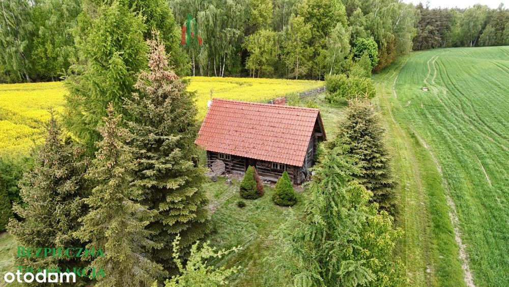 Dom z bali w Czernikach gm. Stara Kiszewa