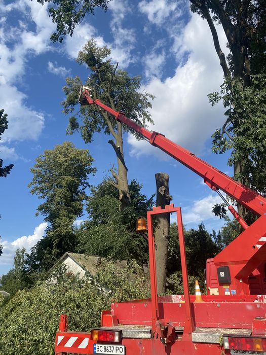 Обрізка дерев , послуги гілкоподрібнювачів, самоскид+грейфер,автовишка