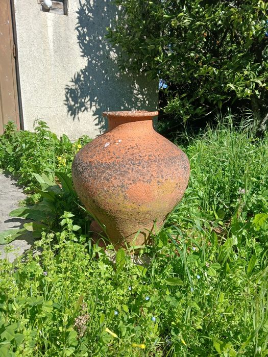 Talha (Pote) do Séc XX