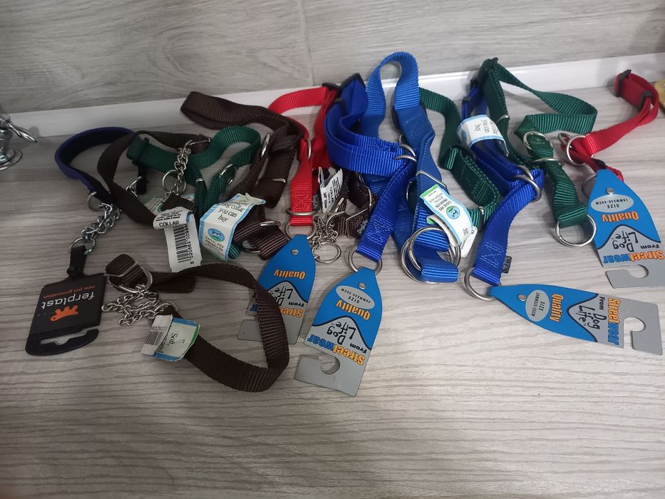 Корм для котиків і нашийник для тваринок