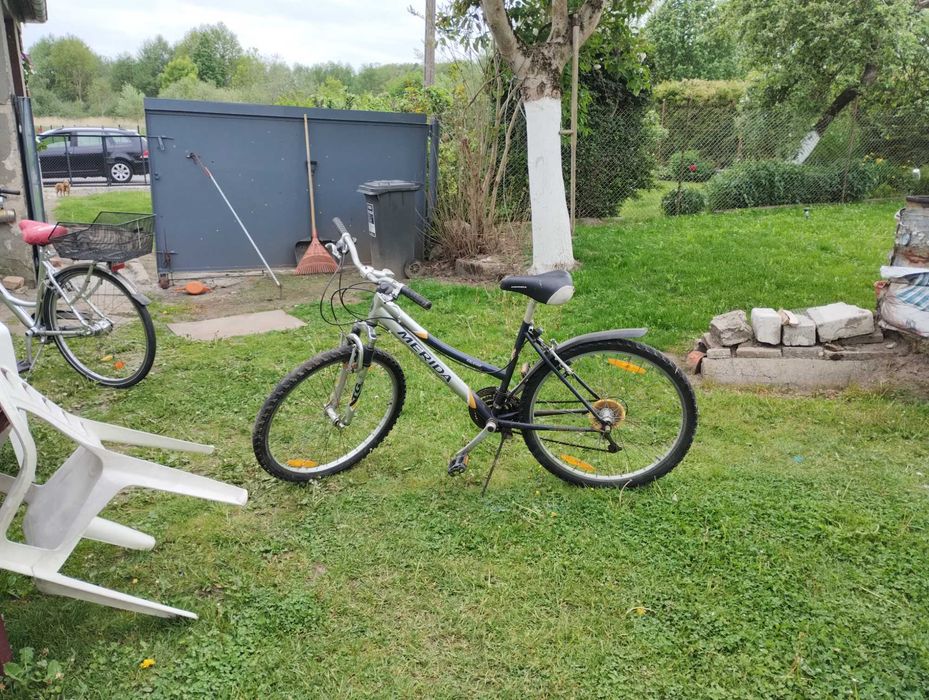 Rower damka na kołach 26