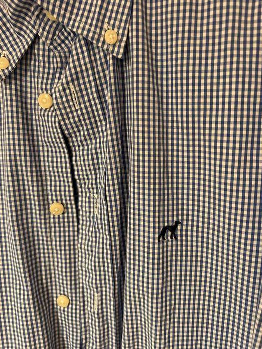 Camisa azul sacoor