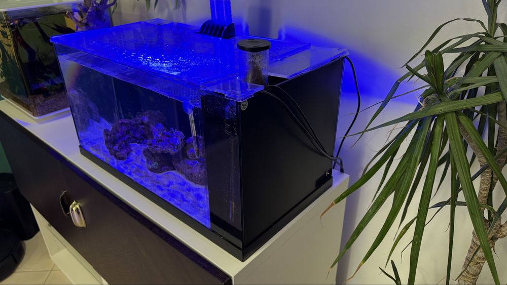 Aquario Marinho Completo 50L