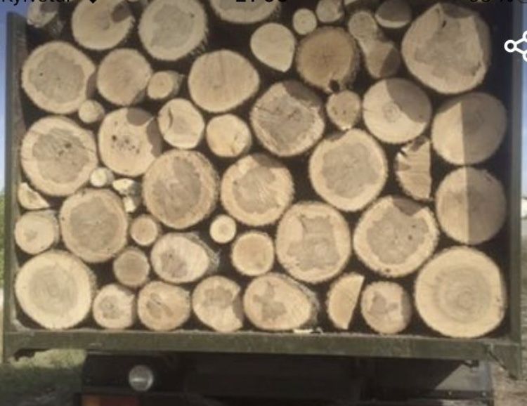 Дрова дубовые колотые и чушки с  бесплатной доставкой и выгрузкой