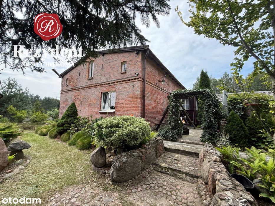 Gospodarstwo 10 km od Warlubia i Nowego-od zaraz