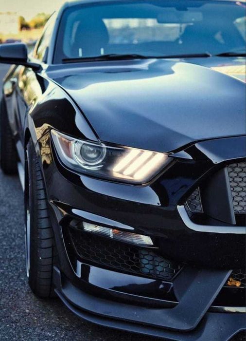 Mustang kit shelby