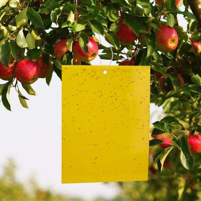 4x 20szt Mocne żółte lepy do doniczek ziemiórki na mszyce 10x15cm