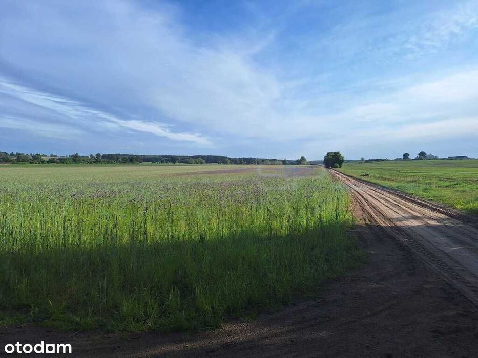 Działki budowlane 800m² okazja! Polecam serdecznie