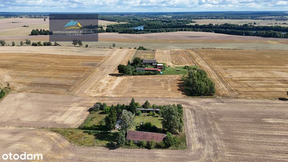 Dom – Uniechów - Widok 4