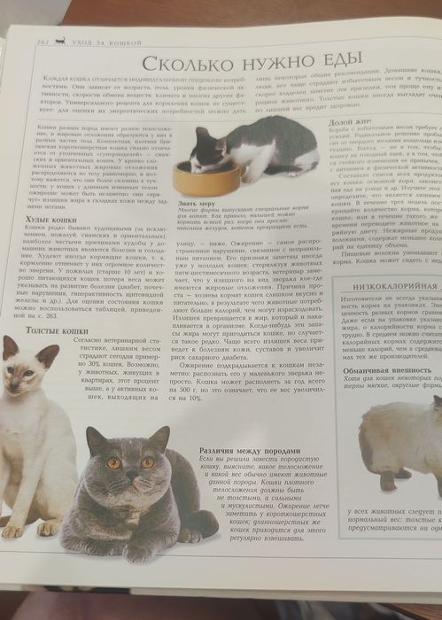 Брюс Фогл Кошки ( энциклопедия)