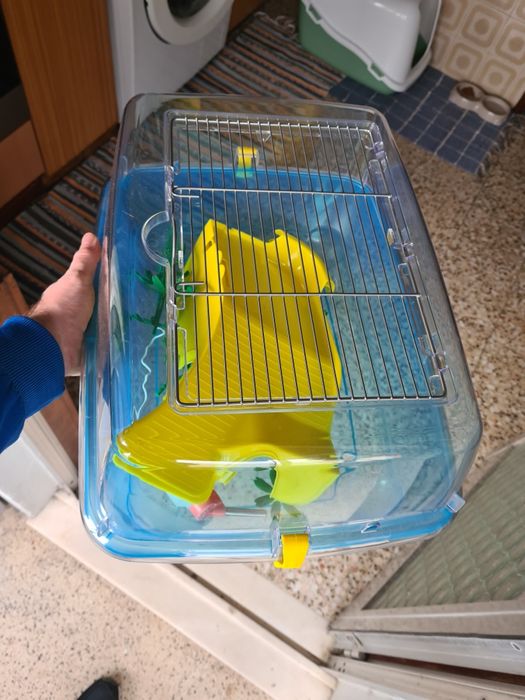 Tartarugueiras como novas