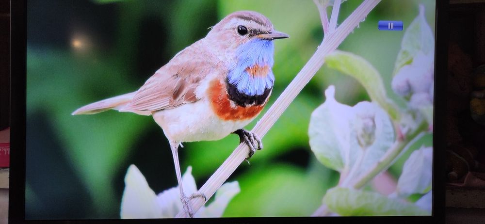 Телевізор Philips 40 PFL 6606 T