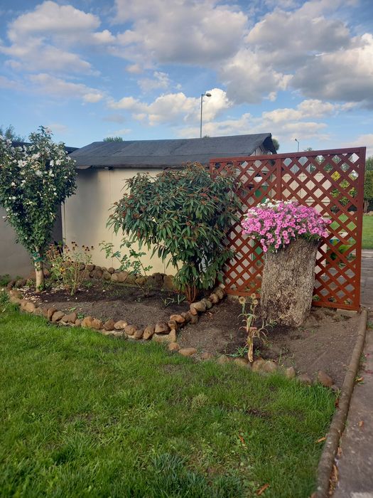 Sprzedam działkę ROD