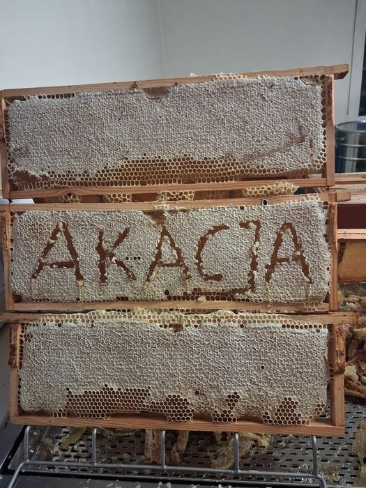 Miód pszczeli z własnej pasieki.