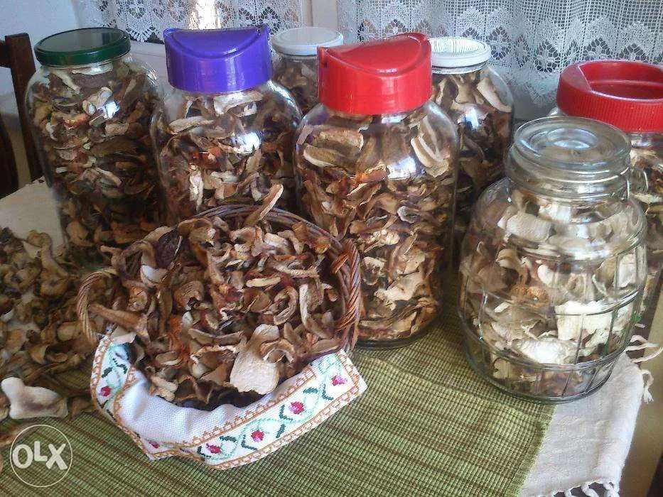 BOROWIK Grzyby Prawdziwek mieszanka suszone krajanka 100g 2024