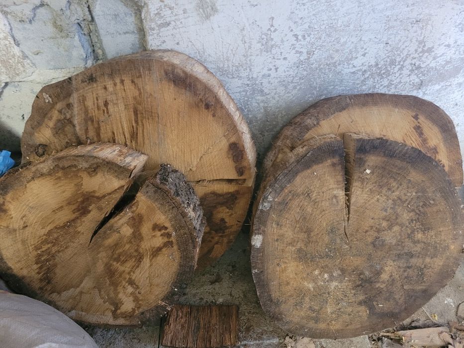 Plastry krążki dębowe bukowe 10-45cm