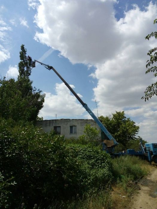 Обрезка и спил деревьев с вывозом веток.Все аккуратно.
