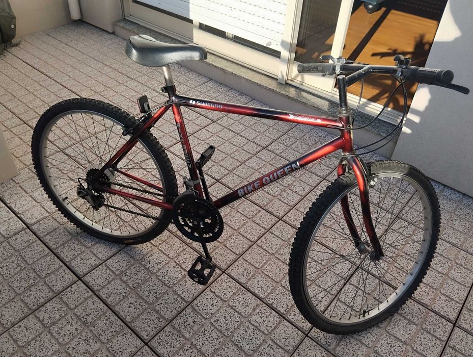 Bicicleta para desocupar