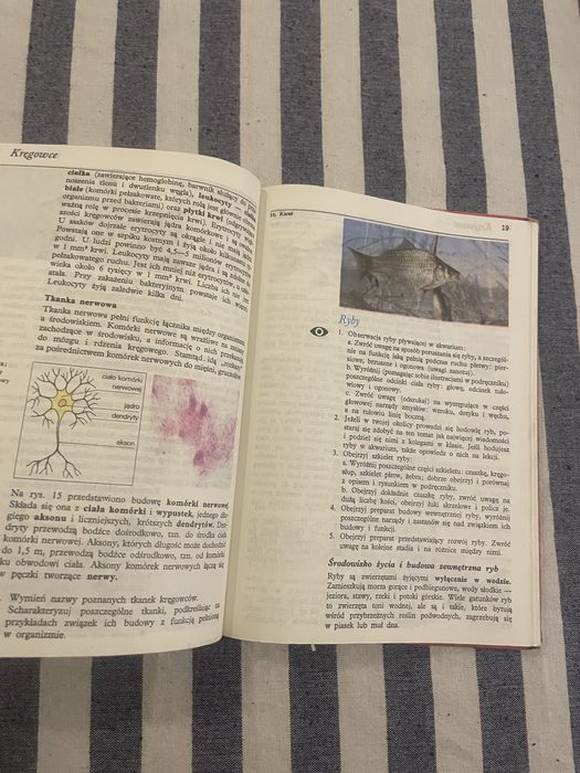 Biologia klasa 6 podręcznik z 1990