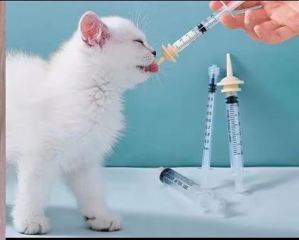 Шприцы для кормления котят /щенков/грызунов/птицы