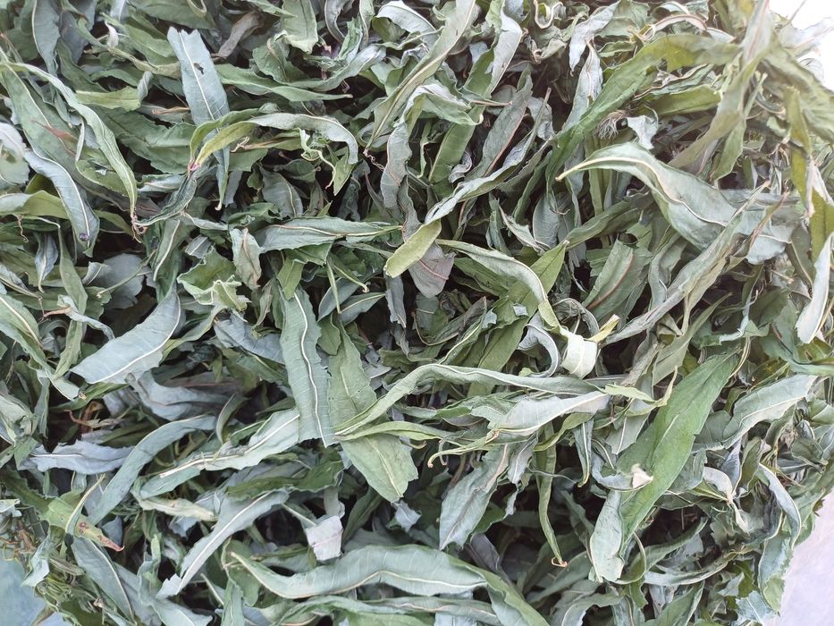 Іван-чай, кипрій,гірський