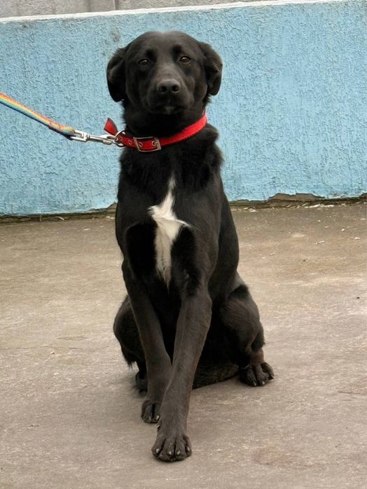 Єва шукае люблячу родину