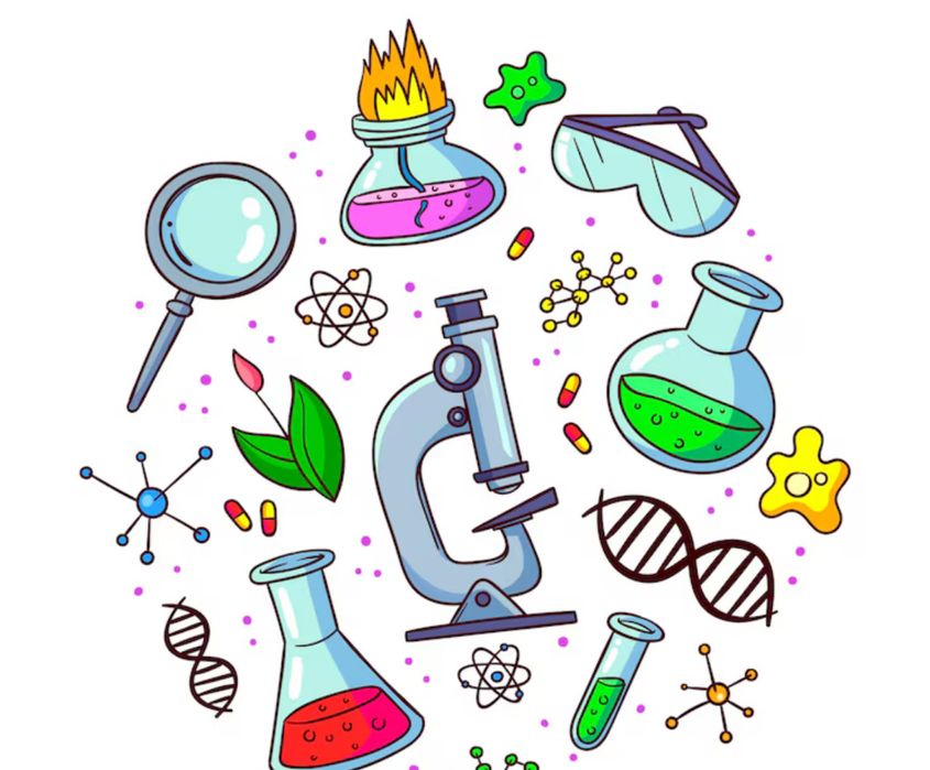 Resumos biologia e geologia  secundário