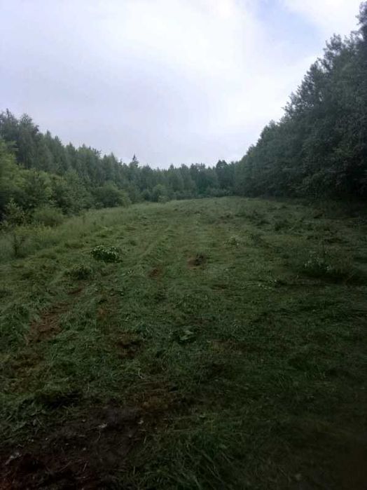 Działka rolna 1,19 ha – łąka + las  gmina Masłowice