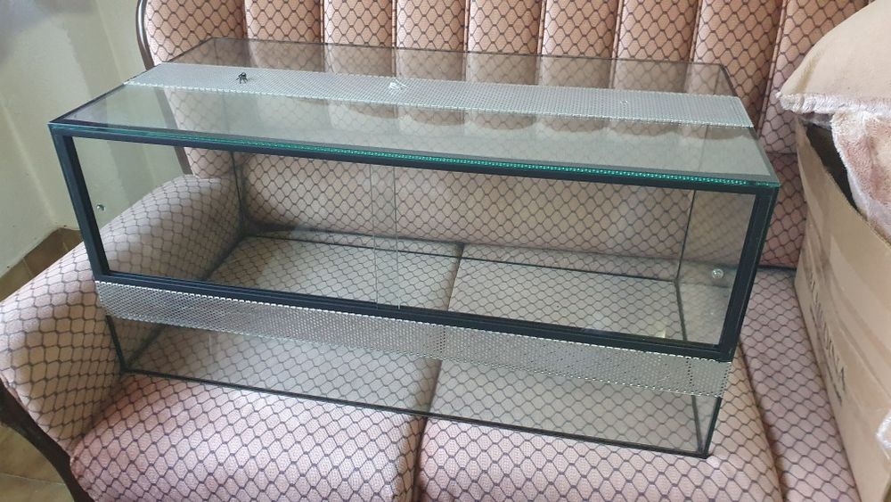 Vários terrarios para répteis para sair