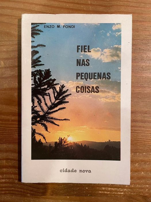 Fiel nas Pequenas Coisas - Enzo Fondi (portes grátis)