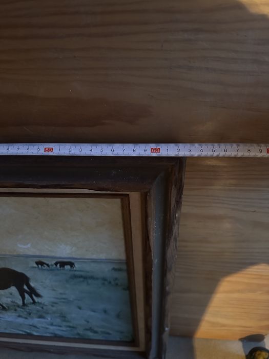 Quadro com pintura dd cavalos