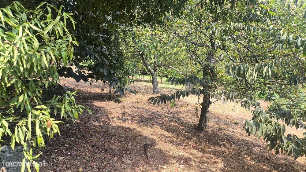 Moradia T2 / Resende, Anreade e São Romão de Aregos