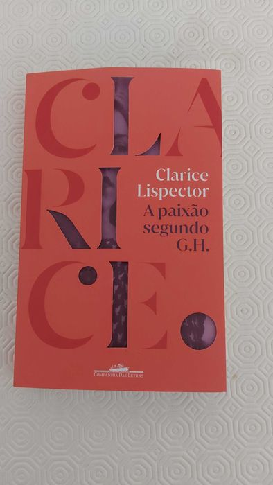 Livro de Clarisse Lispector, A Paixão segundo GH