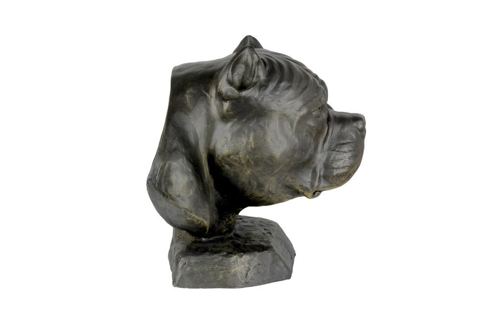 American Bully I urna z żywicy Art-Dog