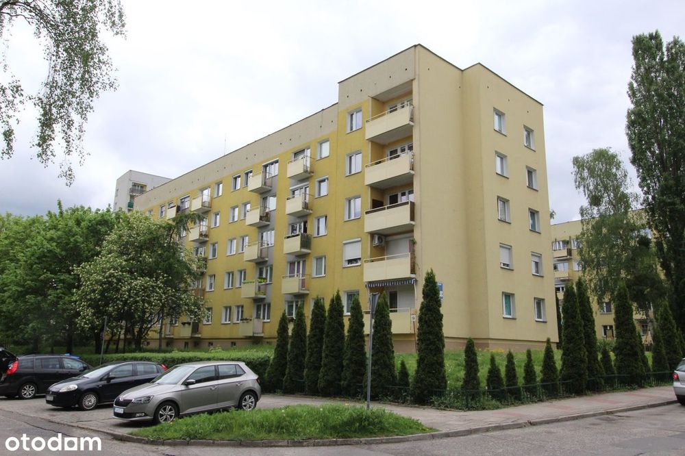 53,61 m² 3 pokoje, niski blok 1 piętro os. Górczyn - Widok 2