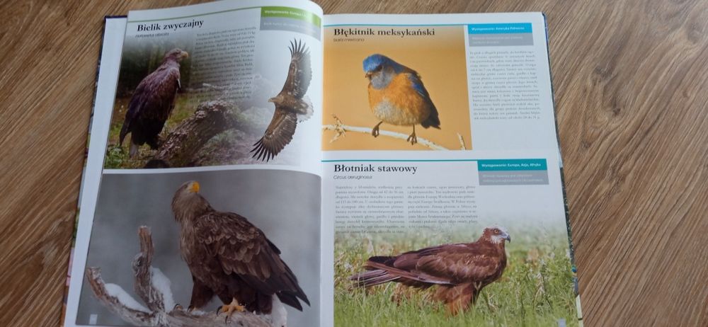 Atlas ptaki świata