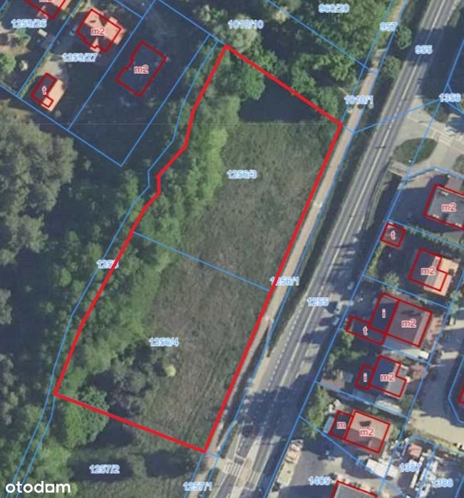 Pod usługi z możliwością zabudowy mieszkaniowej prawie 0,6 ha - Widok 3