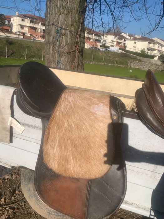 Celas para cavalos e acessórios