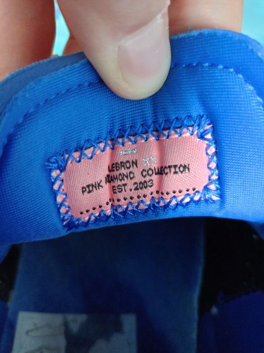 Nike LeBron xx koszykówka