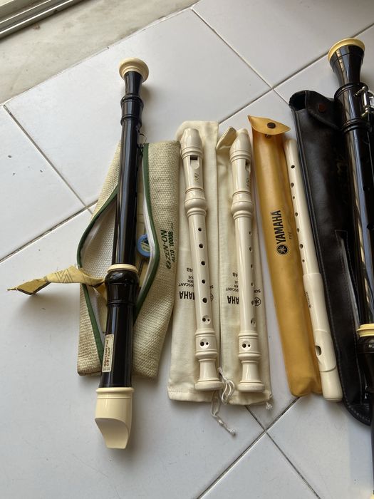 Varias flautas  Bizel