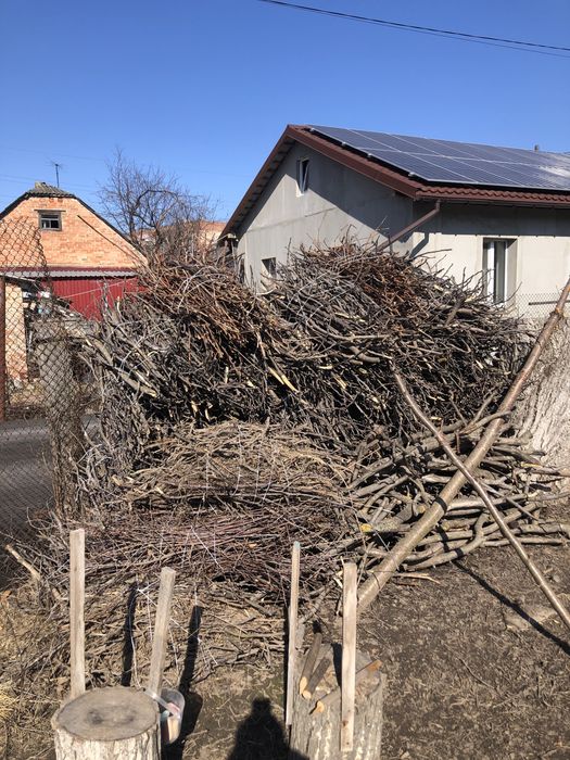 Хмиз. Гілки з горіха для опалення