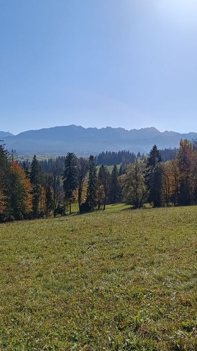 ZAKOPANE GLAMPING-Piękna działka widokowa u stóp TATR Możliwa wymiana