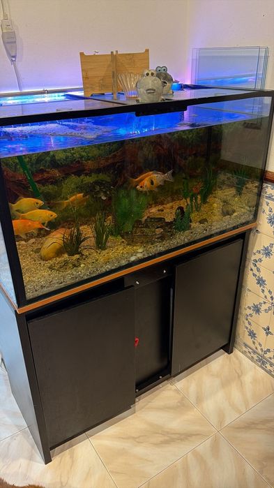 Aquário com filtro URGENTE