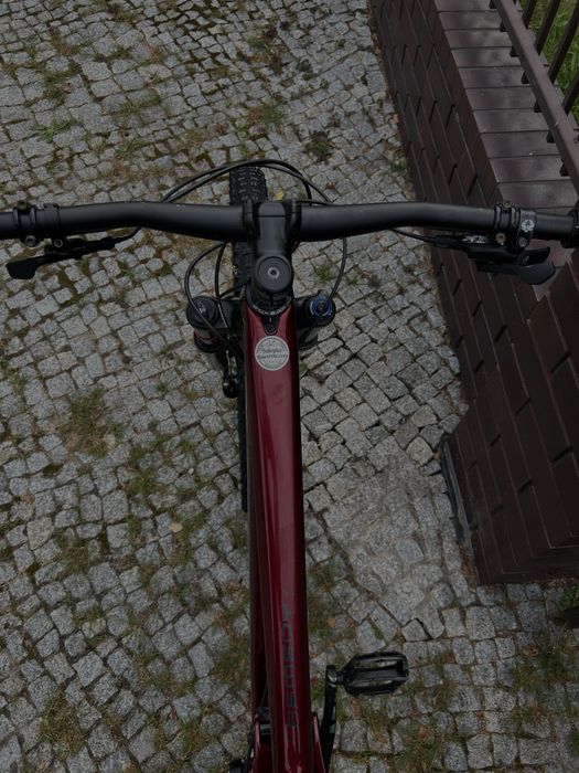 Trek remedy 7 rocznik 2022