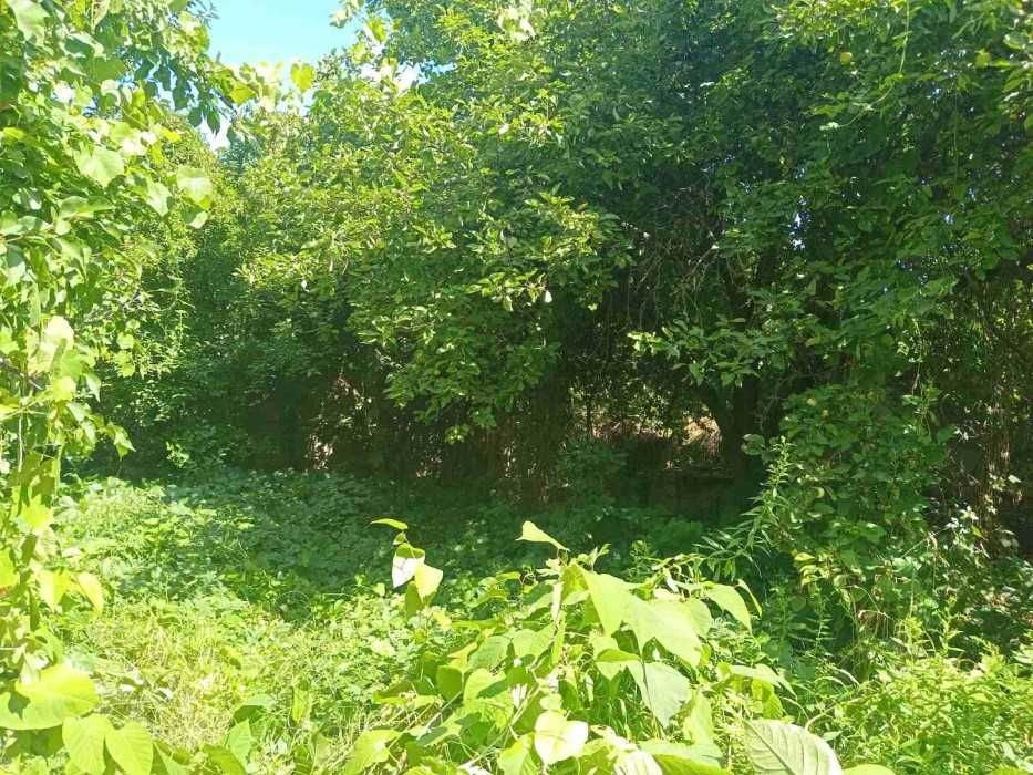 Чудова ділянка! 5,6 соток електрика 76 Садова Дніпро Славутич Осокорки